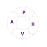 ciclo phva sgsst